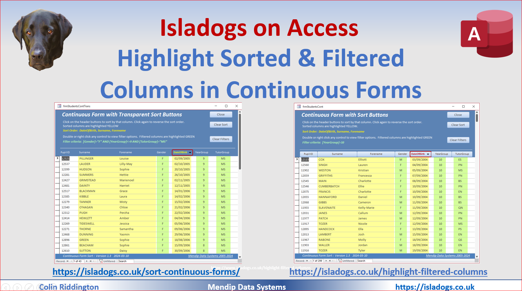 Highlight Sorted & Filtered Columns in Continuous Forms 