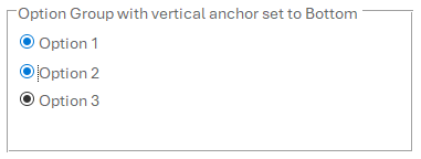 Option Group Display Error