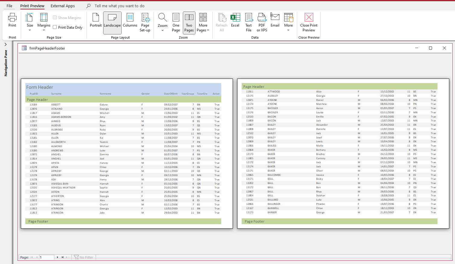 Form Print Preview