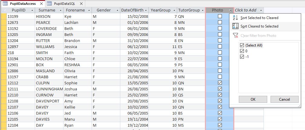 Access Boolean Sort